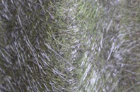 Upper Weybread fibreglass roof work